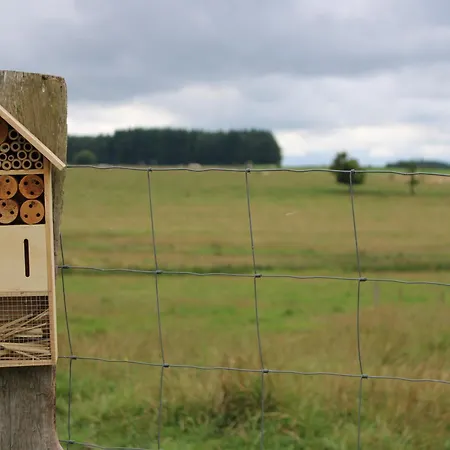 بيت خشبي La Cab'armande
