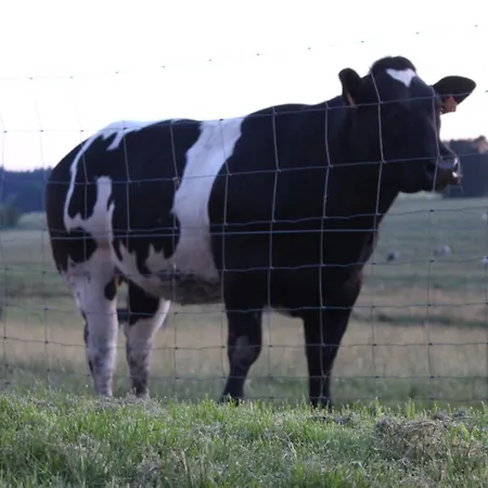 La Cab'armande بلدة ليبرامو