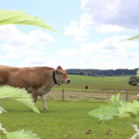 بيت خشبي La Cab'armande *