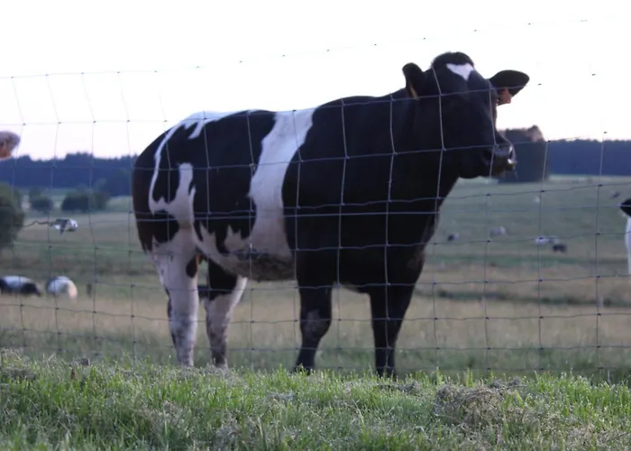 La Cab'armande Libramont-Chevigny